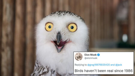 Elon Musk, herkesi şaşırtan “kuşlar gerçek değil” tweet’i ile ne demek istedi?